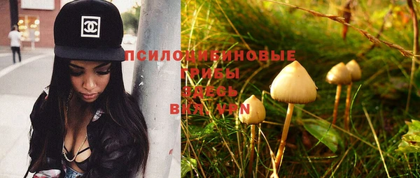 эйфоретик Абинск