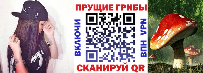 Псилоцибиновые грибы мицелий  Шенкурск 